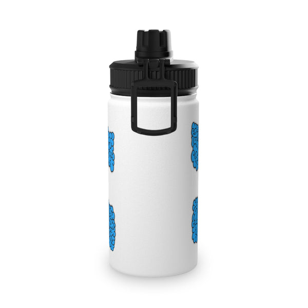 Argentinian Flag Stainless Steel Water Bottle